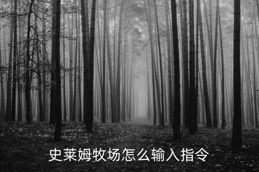 史莱姆牧场怎么输入指令