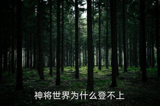 神将世界为什么登不上