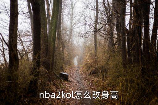 nba2kol怎么改身高