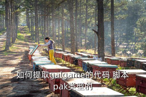 如何提取galgame的代码 脚本pak类型的