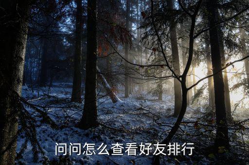 问问怎么查看好友排行