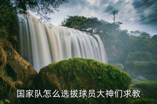 国家队怎么选拔球员大神们求教