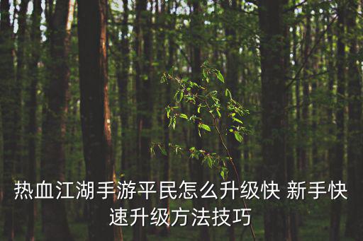 热血江湖手游先锋怎么升级，热血江湖手游前期怎么升级 前期快速升级攻略