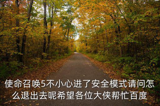 使命召唤5不小心进了安全模式请问怎么退出去呢希望各位大侠帮忙百度