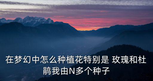 在梦幻中怎么种植花特别是 玫瑰和杜鹃我由N多个种子