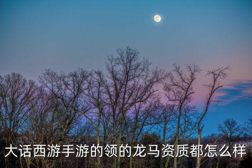 大话西游手游的领的龙马资质都怎么样