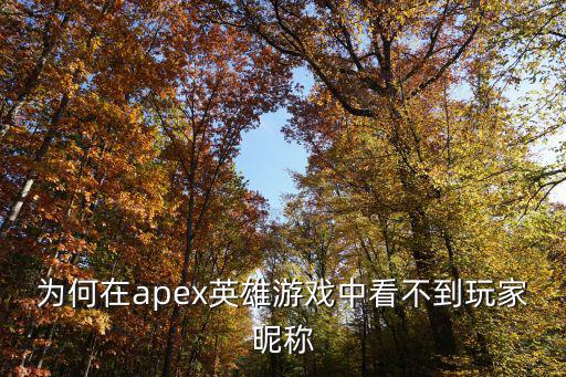 apex手游怎么查看id，为何在apex英雄游戏中看不到玩家昵称