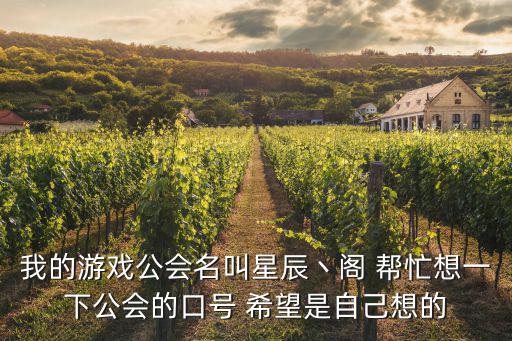 我的游戏公会名叫星辰丶阁 帮忙想一下公会的口号 希望是自己想的