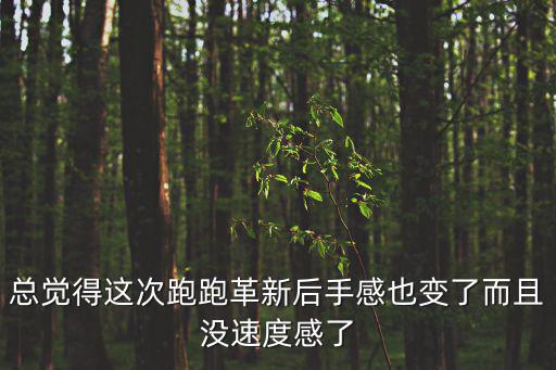 总觉得这次跑跑革新后手感也变了而且没速度感了