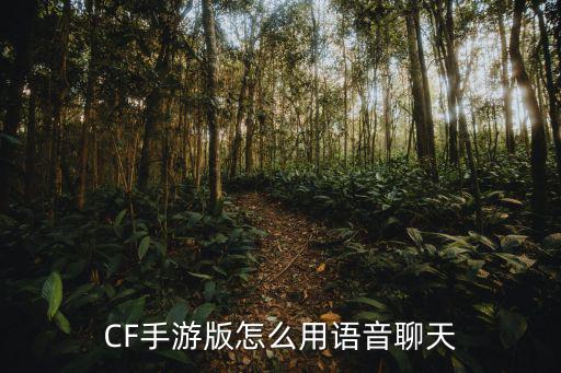 cf手游语音卡大厅互动怎么用，CF手游上怎么用语音聊天