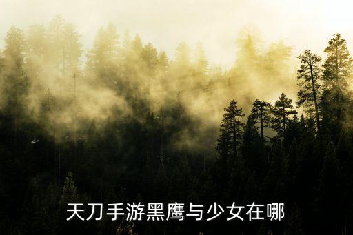 天刀手游黑鹰与少女在哪