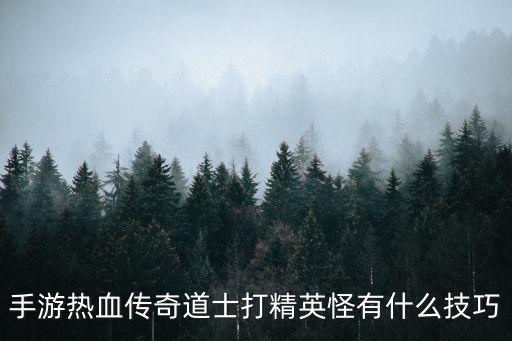 手游热血传奇道士打精英怪有什么技巧