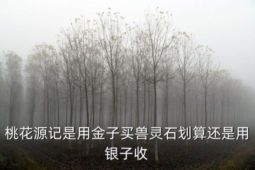 桃花源记是用金子买兽灵石划算还是用银子收