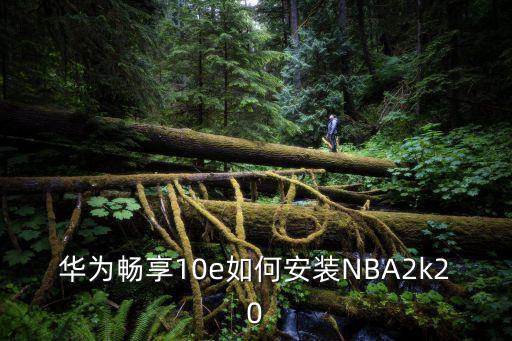 华为畅享10e如何安装NBA2k20