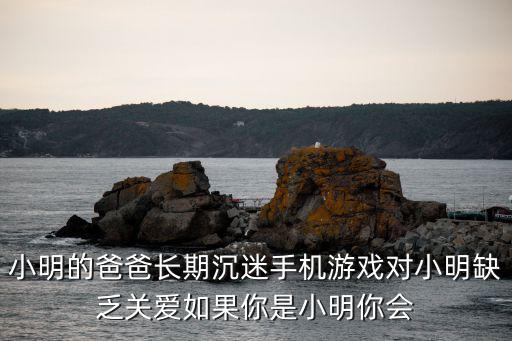 小明的爸爸长期沉迷手机游戏对小明缺乏关爱如果你是小明你会