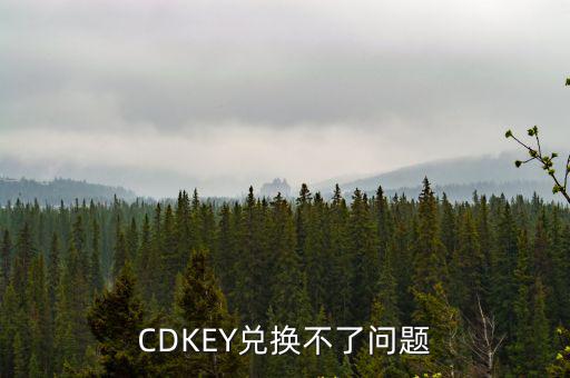 CDKEY兑换不了问题