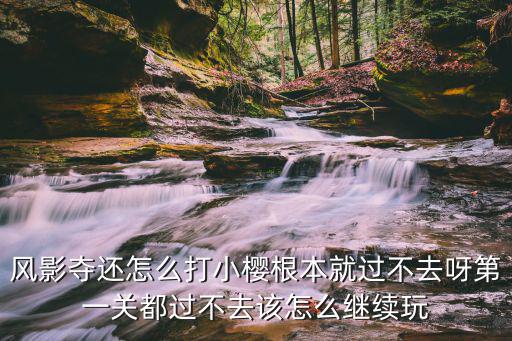 风影夺还怎么打小樱根本就过不去呀第一关都过不去该怎么继续玩