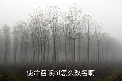 使命召唤手游改名卡怎么办，使命召唤OL改名卡多久出 改名卡怎么用