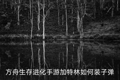 方舟生存进化手游加特林如何装子弹