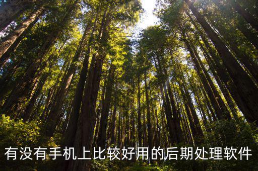 有没有手机上比较好用的后期处理软件
