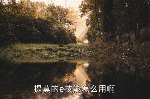 提莫的e技能怎么用啊