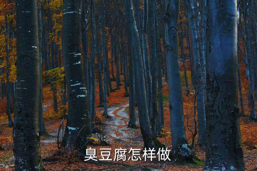盛世芳华手游菜谱臭豆腐怎么做，梦幻西游师门任务要28品质的臭豆腐