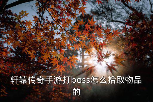 轩辕传奇手游打boss怎么拾取物品的