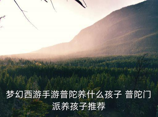 梦幻手游普陀怎么养孩子，梦幻普陀小孩怎么养求骨灰级玩家来个详细讲解过程