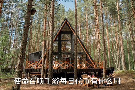 使命召唤手游每日代币有什么用