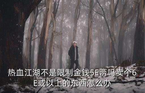 热血江湖不是限制金钱5E两吗卖个6E或以上的东西怎么办