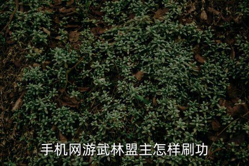 手机网游武林盟主怎样刷功