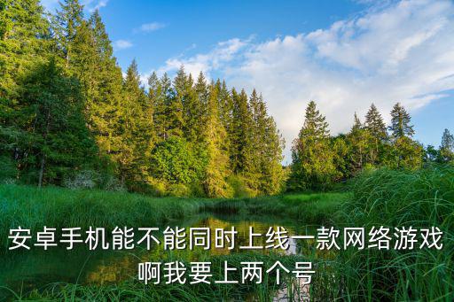 安卓手机能不能同时上线一款网络游戏啊我要上两个号