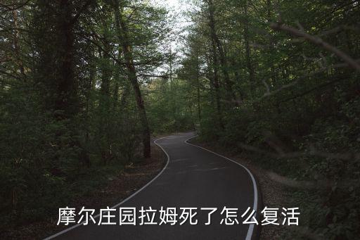 摩尔庄园拉姆死了怎么复活