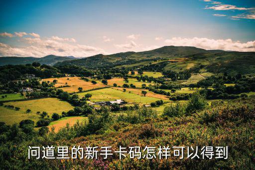 问道里的新手卡码怎样可以得到
