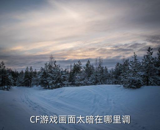 cf手游亮度太暗怎么办，CF游戏画面太暗在哪里调