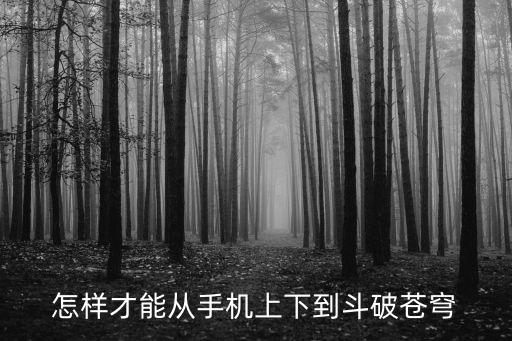怎样才能从手机上下到斗破苍穹