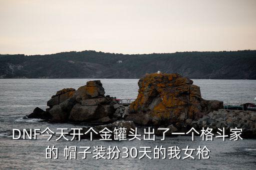 DNF今天开个金罐头出了一个格斗家的 帽子装扮30天的我女枪