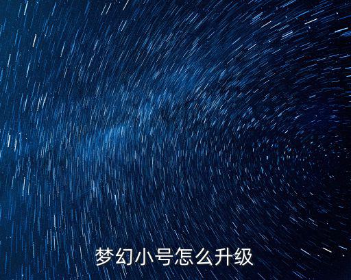 梦幻小号怎么升级