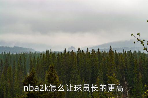 nba2k怎么让球员长的更高