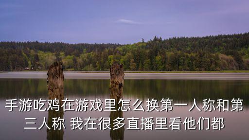 手游吃鸡在游戏里怎么换第一人称和第三人称 我在很多直播里看他们都