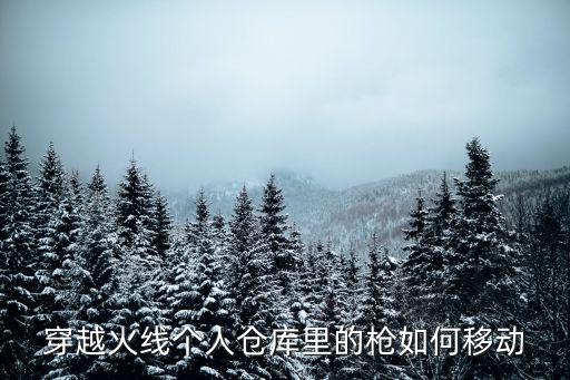 cf手游背包枪怎么排位，CF怎么选枪入背包一背包我放一把AK二放一把阻击枪沙漠这