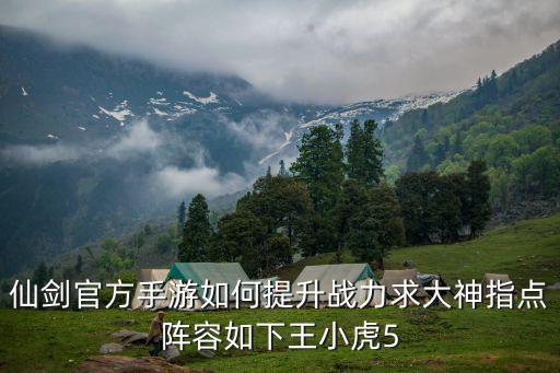 仙剑官方手游如何提升战力求大神指点阵容如下王小虎5