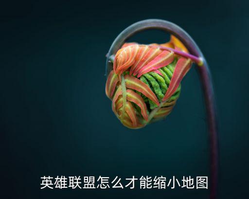 联盟手游怎么拉小地图，英雄联盟怎么才能缩小地图