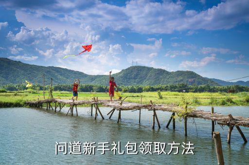 问道新手礼包领取方法
