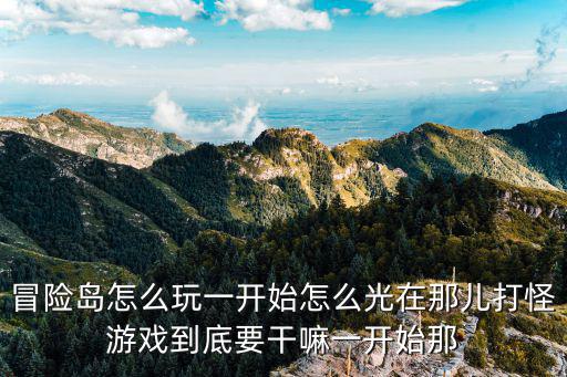 冒险岛怎么玩一开始怎么光在那儿打怪游戏到底要干嘛一开始那