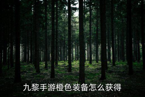 九黎手游橙色装备怎么获得