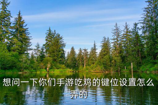 想问一下你们手游吃鸡的键位设置怎么弄的
