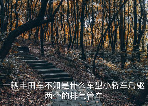 一辆丰田车不知是什么车型小轿车后驱两个的排气管车