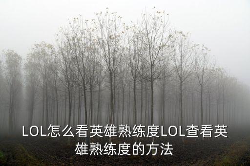 台服英雄联盟手游英雄熟练怎么看，如何查看英雄联盟手游的英雄熟练度