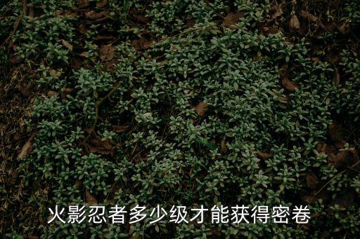 火影忍者手游雾隐密卷怎么出，雾隐套装在哪里得